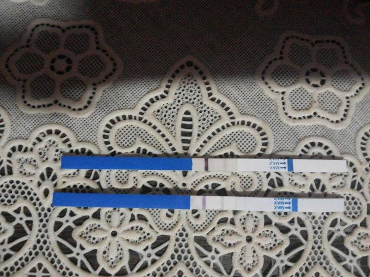 Large_73baf425-c369-4526-ac0e-76f33ccda55f