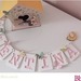 Grávida de uma princesa, 36 semanas e 6 dias ! Grávida de uma princesa, 36 semanas e 6 dias !
